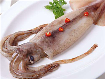 Argentine squid