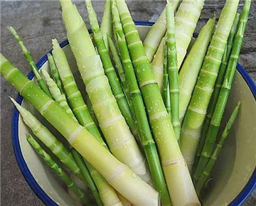 Bamboo shoots